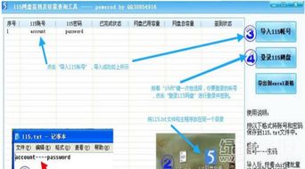 115网盘签到及容量查询工具 v1.1 提升网盘管理效率的必备助手